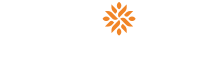 mentormate-pqmzbuo33bg443gsnkxupt6joblm62ts4riyuycd4a